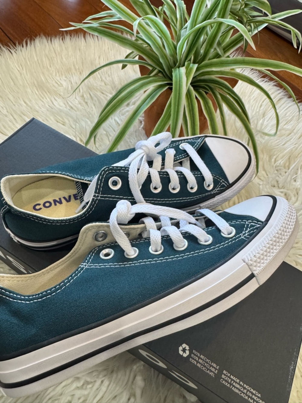 Converse Low-Top Sneakers in Teal Green - Picture 5 of 6